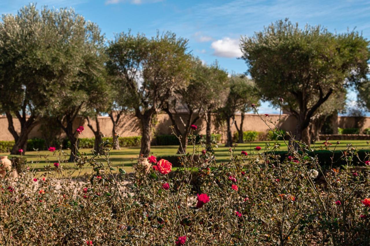 Le Palais Paysan Bed & Breakfast Marrakesh Ngoại thất bức ảnh