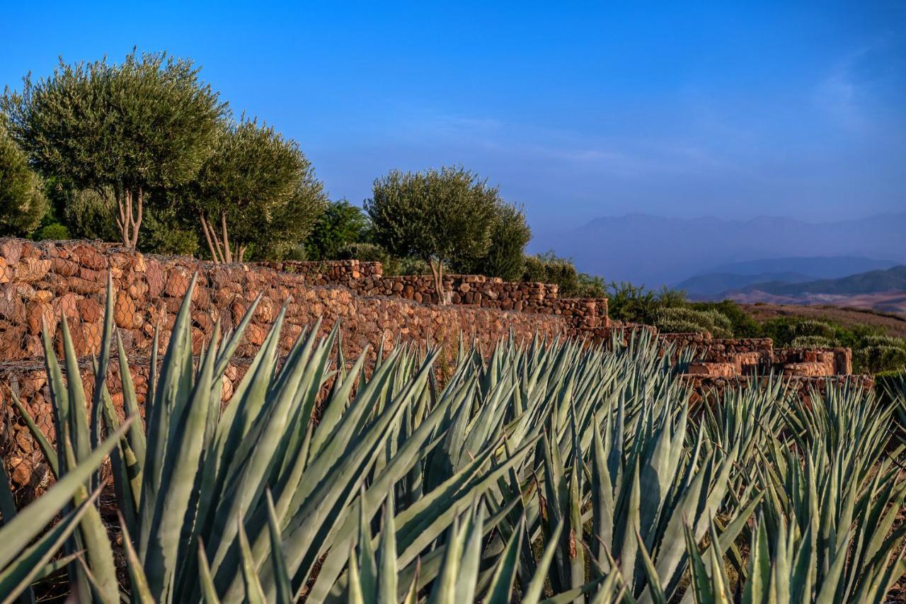 Le Palais Paysan Bed & Breakfast Marrakesh Ngoại thất bức ảnh