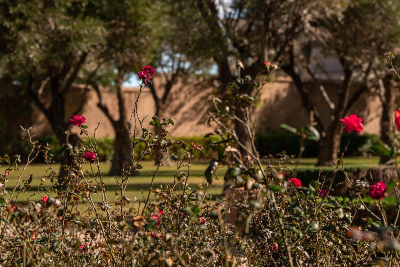 Le Palais Paysan Bed & Breakfast Marrakesh Ngoại thất bức ảnh